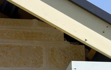 soffit repair Cricket Hill
